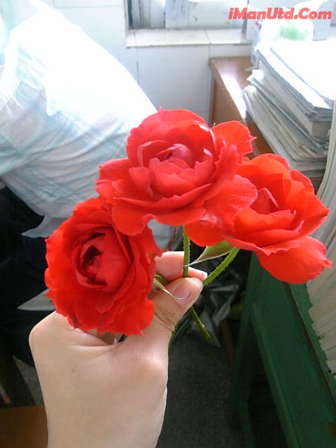 07-05-03_08-47.jpg