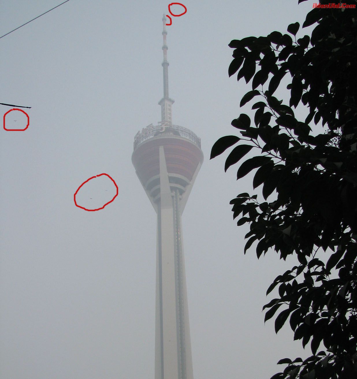 img2.gif