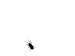 20071016_f41ea642fecc405ab0bc6oNNigXl7X6I.gif