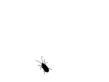 1217242195424.gif
